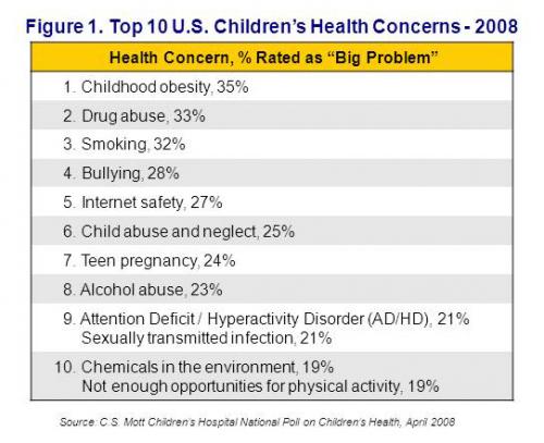 Top 10 U.S. children's health concerns - 2008